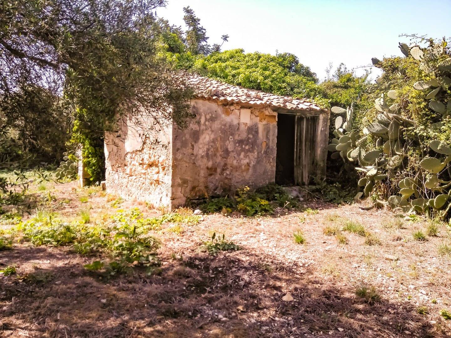 rustico con giardino in vendita a siracusa zona isola