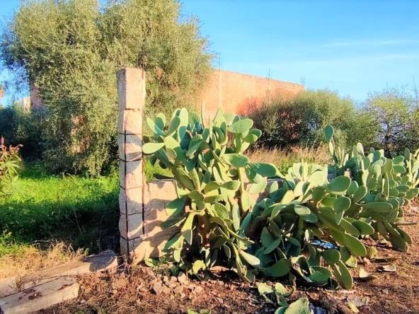 villa panoramica con giardino in vendita a tremmilia siracusa